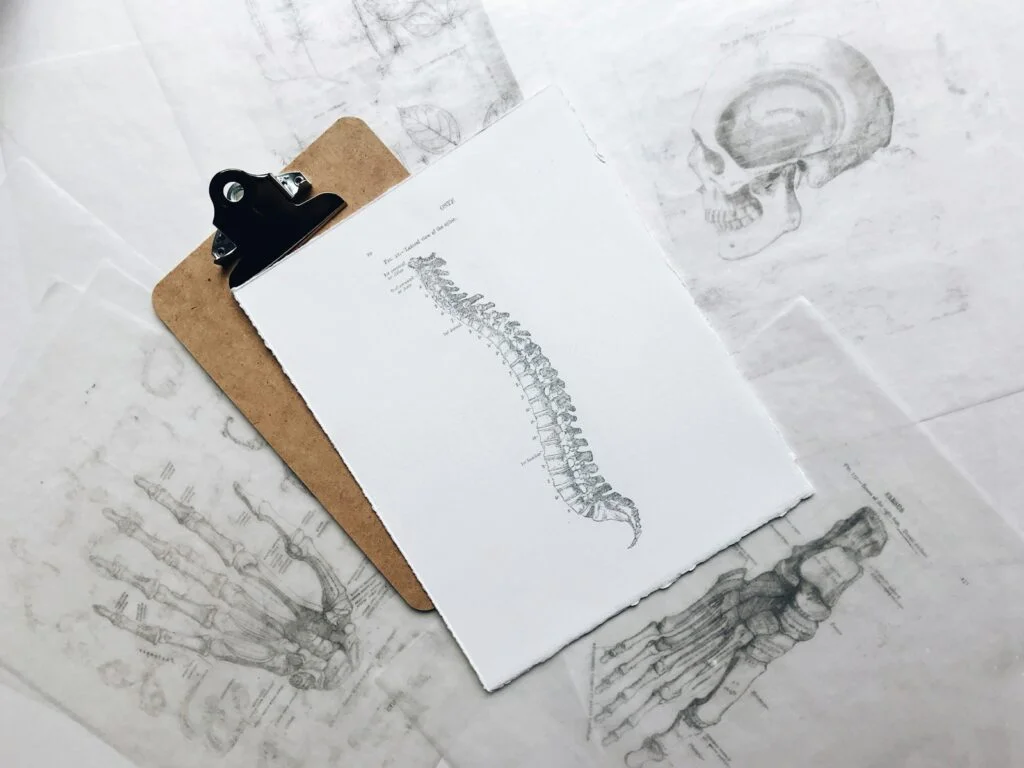 tight erector spinae symptoms, erector spinae strain.brown and black clipboard with white spinal cord print manual
