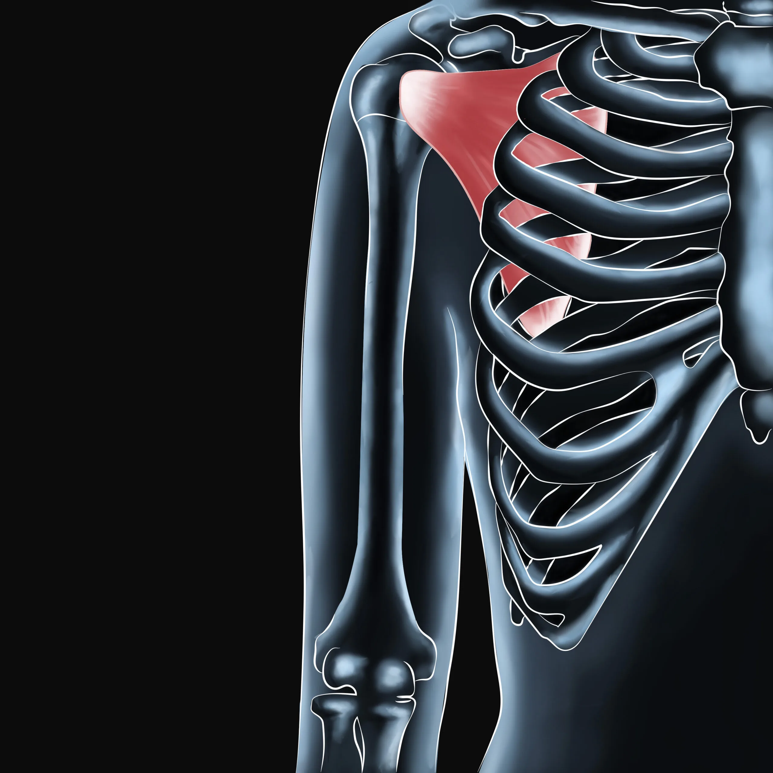 Mystery of Scapula: Understanding Shoulder Pain and Performance