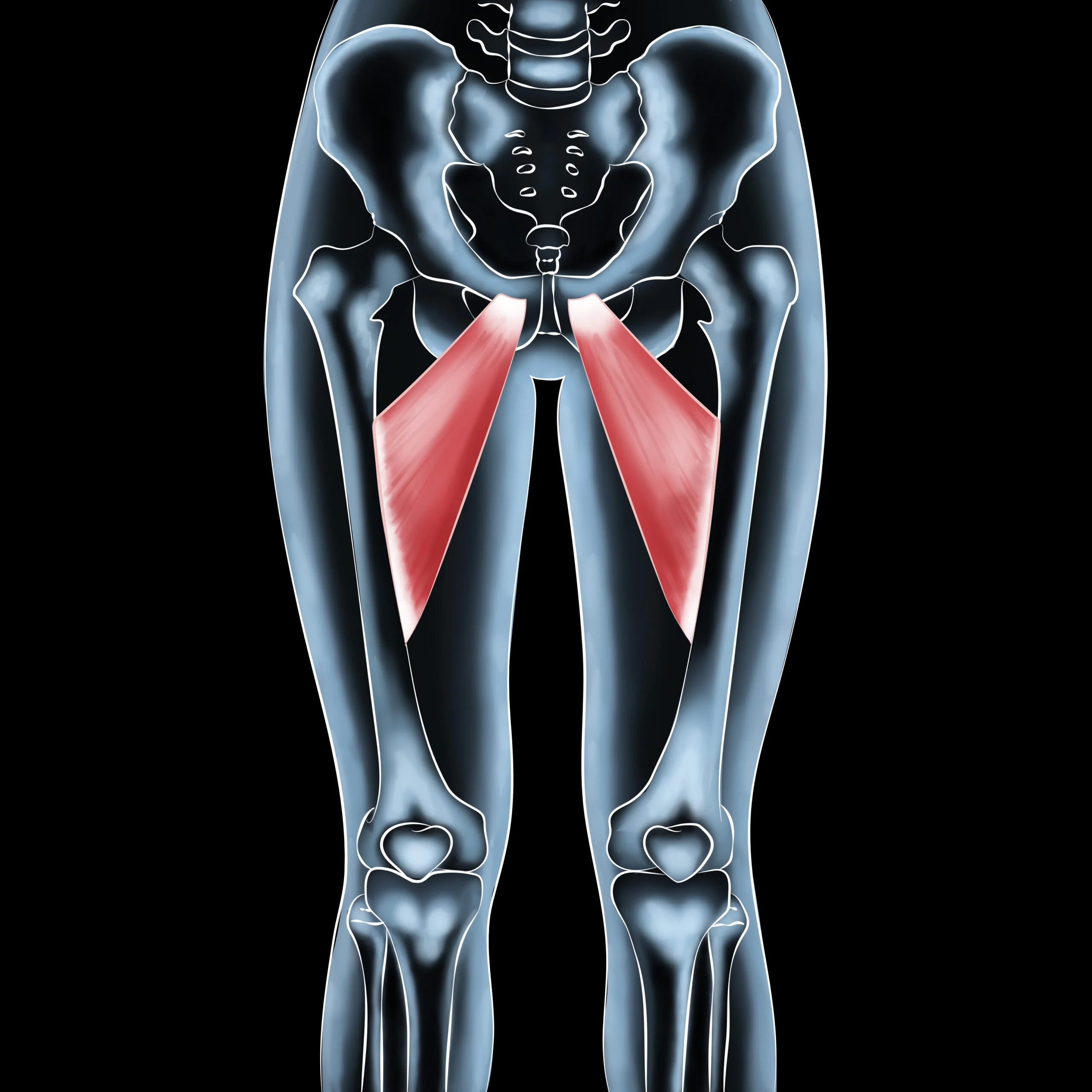 Hip Adductors Muscle Injuries Comprehensive Treatment Guide