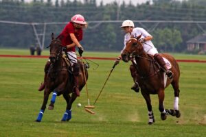 Polo Muscle Injuries Treatment
