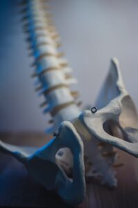 Muscle pain near tailbone