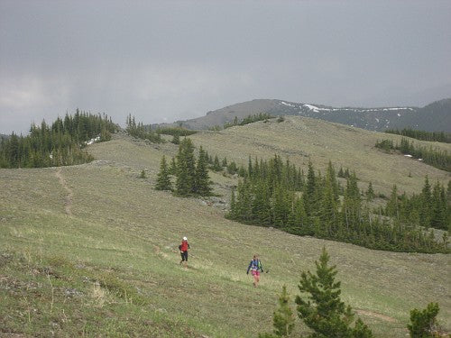 iron-legs-mountain-races-2025